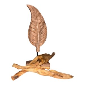 Lammohr