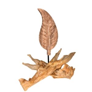 Lammohr mit Kopfhaut